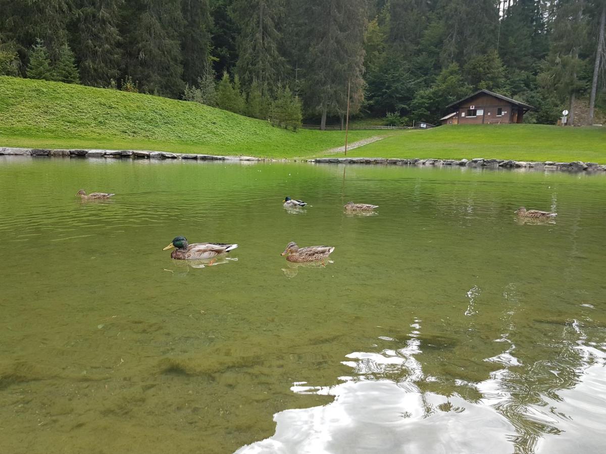 Le Duplex Septimontain Apartment Samoens Luaran gambar